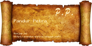 Pandur Petra névjegykártya